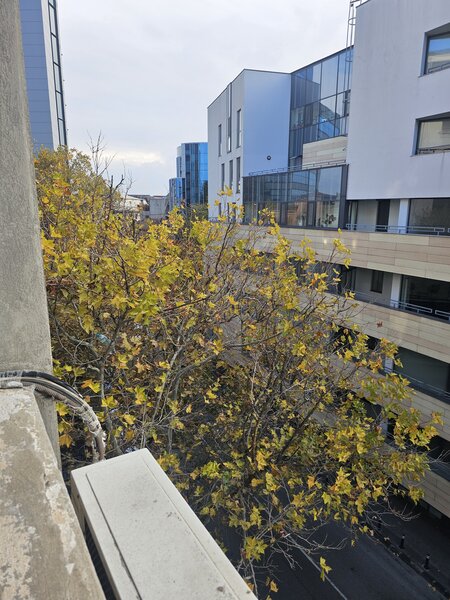 Batiste, Universitate,